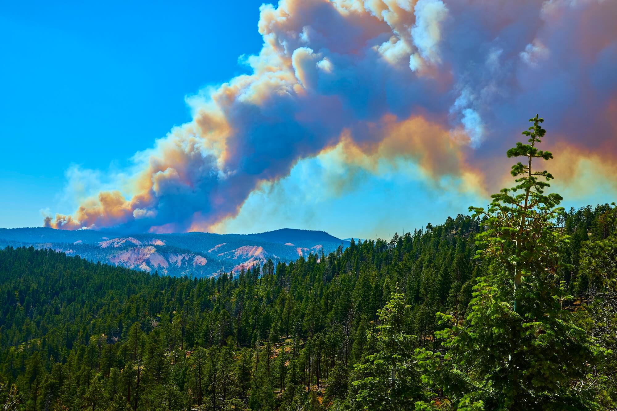 Fire smoke plume over forest and mountain